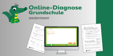 Logo Online-Diagnose 2-4